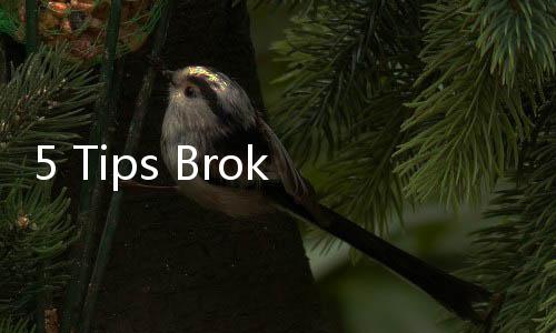 5 Tips Broker Global Octa Meraih Sukses dalam Trading