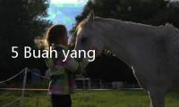 5 Buah yang Tidak Boleh Dimakan Penderita Batu Ginjal