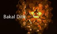 Bakal Ditiru Indonesia, Apa Itu Nutri