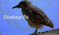 Direktur Penuntutan KPK Mundur Gara