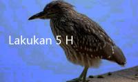 Lakukan 5 Hal Ini Setelah Makan Siang, Dijamin Tubuh Tetap Segar