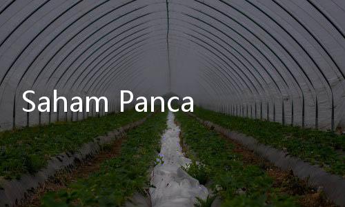 Saham Panca Anugrah (MGLV) Disetop Sementara oleh BEI untuk Cooling Down