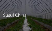 Susul China, Korea Utara Mengkritik Keras Proyek Golden Dome Trump
